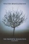 The Prophetic Imagination