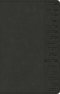 The Names of God Bible, Hebrew Name Design