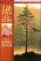 Book Of Ruth And Esther