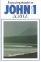 John : Vol 1: Expository Thoughts