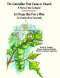 The Caterpillar That Came to Church - A Story of the Eucharist (Spanish Language)