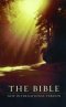 NIV Outreach Bible: Forest Cover, Paperback