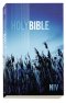 NIV Outreach Bible