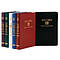 NRSV Gift & Award Bible with the Apocrypha: Burgundy Imitation Leather