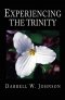 Experiencing The Trinity