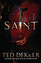 Saint Paperback Book