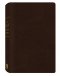 KJV Todays Study Bible: Burgandy, Bonded Leather