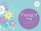 Thinking Of You Cards - Pack of 16