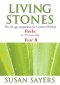 Living Stones: Rocks (Age 6-10), Year B