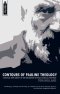 Contours of Pauline Theology