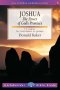 Lifebuilder Bible Study: Joshua