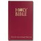 NIV Economy Bible: Burgundy, Hardback