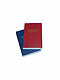 KJV Nonpareil New Testament and Psalms: Red Paperback