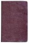 ERV Bible: Burgundy, Bonded Leather