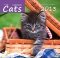Cats Calendar 2013 (Small)