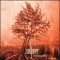 In a Perfect World CD