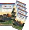 Lifebuilder Bible Study Prayer Bundle