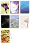 Mixed Poster Value Pack 2 - Pack of 7