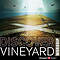 Discover Vineyard Worship Cd