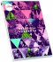 A Beautiful Exchange: Live DVD