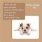 To Encourage You Card - Single