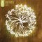 Life Cd