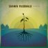 Roots Cd