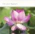 On your Baptism Card - Single