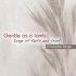 Gentle As A Lamb CD