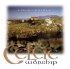 New Celtic Worship CD