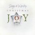 Christmas Joy - Songs 4 Worship