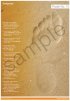 Footprints Poster