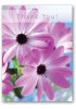 Thank You Cards - Pack of 4