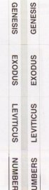 Index Tabs: Std, Silver Edge