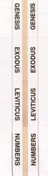 Index Tabs: Std, Gold Edge