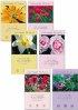 Assorted Birthday Cards - Pack of 12