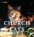 Church Cats HB
