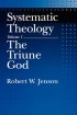 Systematic Theology : Vol 1. Triune God