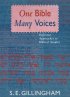 One Bible, Many Voices: Different Approaches to Biblical Studies - Different Approaches to Biblical Studies