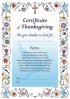 Certificate of Thanksgiving Blue - Pack of 20