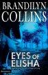 Eyes of Elisha