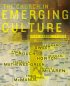 The Church in Emerging Culture: Five Perspectives - Five Perspectives