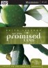 Faith Lessons on the Promised Land :  Crossroads of the World Vol.1 - Crossroads of the World