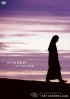 In the Dust of the Rabbi Volume 6 DVD