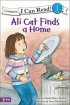 Ali Cat Finds a Home