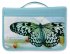 Inspiration New Creation Bible Cover: Aqua Canvas, Large