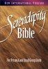 NIV Serendipity Bible: Hardback - For Personal and Small Group Study