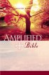 Amplified Bible: Hardback