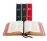 NIV Lectern Bible: Blue, Persian Morocco Leather (British Text)
