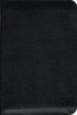 TNIV Personal Bible: Black, Bonded Leather, Zip Fastening (British text)